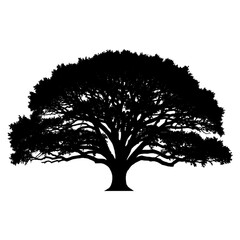 Fototapeta premium Silhouette of a majestic, expansive tree with detailed, sprawling branches and lush foliage against a stark white background