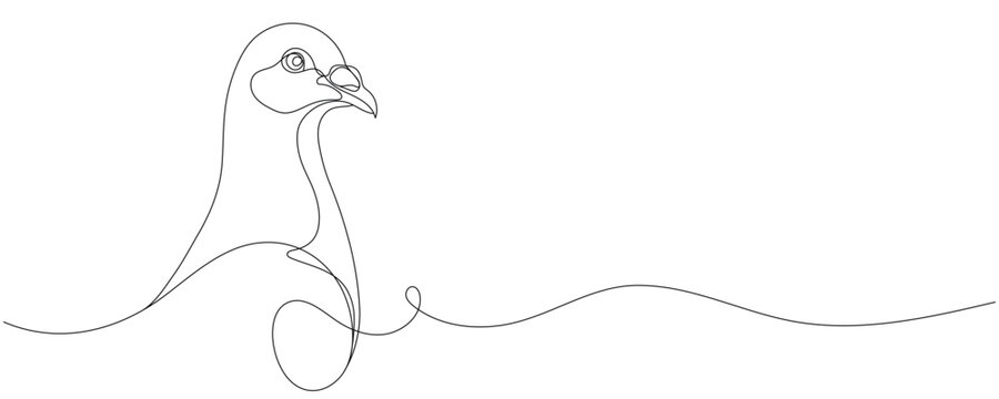 One-line drawing of a dove's face. One-line drawing, editable line.