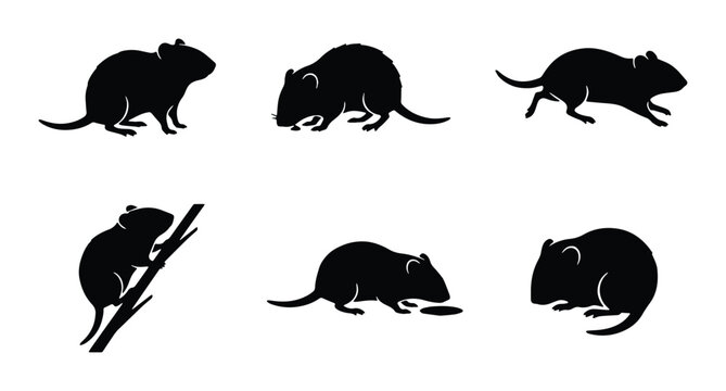 six black and white vector rat silhouettes on white background