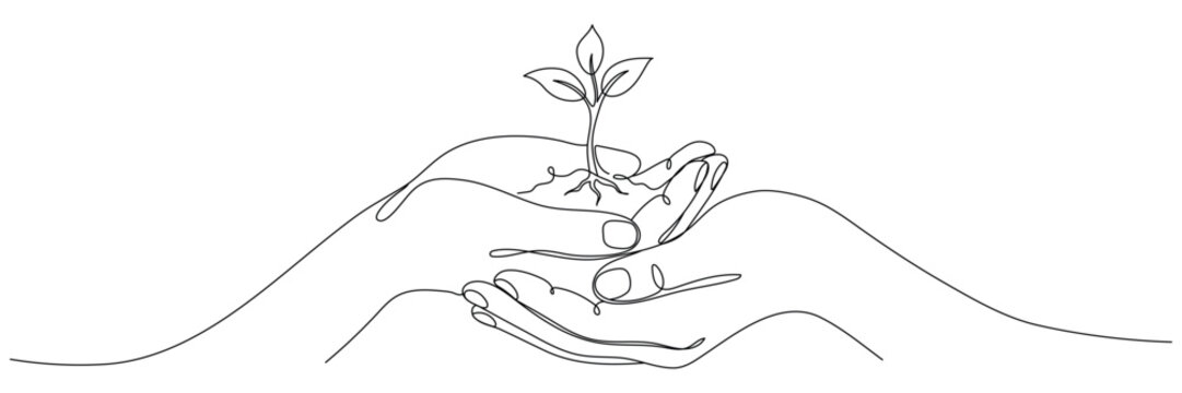 Solid line drawing of hands holding a sprout. A plant in a human hand, single line drawing. Vector illustration isolated on a white background. Editable outline.