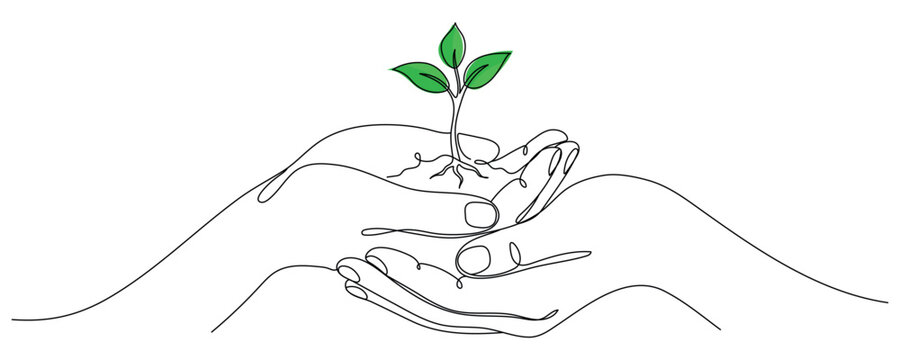 Solid line drawing of hands holding a sprout. A plant in a human hand, single line drawing. Vector illustration isolated on a white background. Editable outline.
