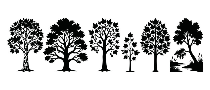 Tree silhouettes collection black icons set for design isolated on white background. Different deciduous tree species, forest plants, detailed botanical shapes, vector illustration for landscape eleme