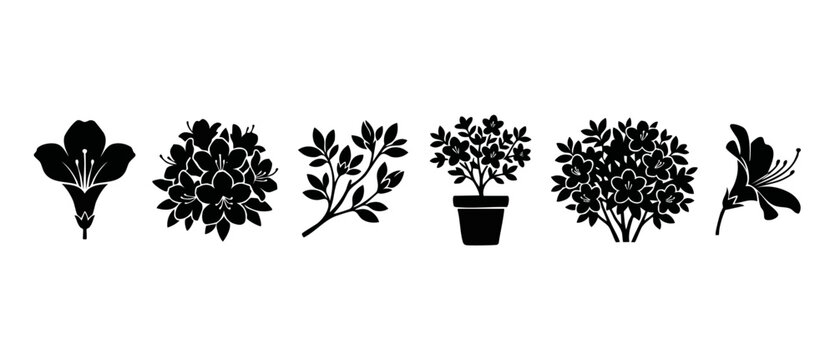 Azalea flower icons set, floral vector elements, blooming shrub and potted plant silhouettes. Collection of botanical garden illustrations in black isolated on white background for nature design proje