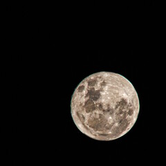 Fototapeta premium full moon in the night