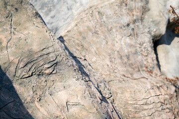 Fototapeta premium Artificial rock structure in zoo enclosure imitating natural stone surface with rough texture close view. Zoo habitat design and construction