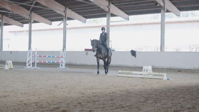 Female jockey training on her dark horse in a covered riding hall for a show jumping competition