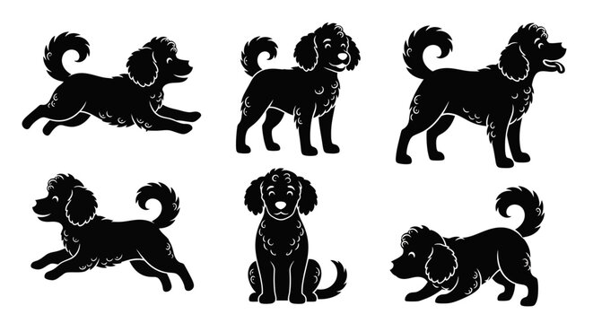Set of Cute Poodle Dog Silhouettes in Various Poses