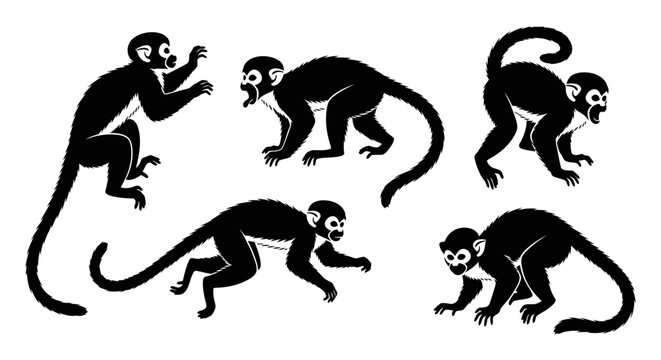 Set of Squirrel Monkey Silhouettes in Various Poses