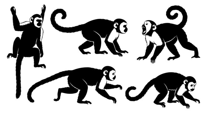 Set of Capuchin Monkey Silhouettes in Various Poses