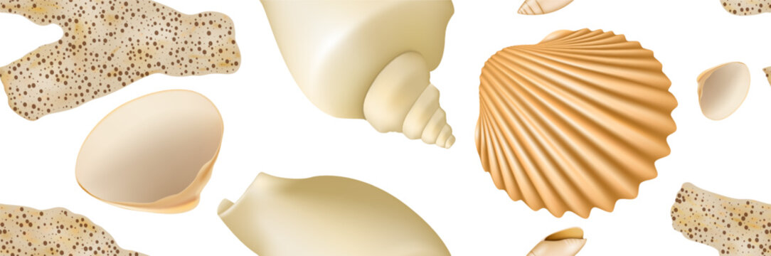 Realistic Seashell Seamless Pattern