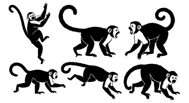 Set of Capuchin Monkey Silhouettes in Various Poses