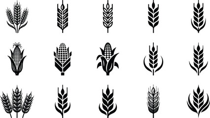 Black Wheat and Corn Icon Set Featuring Agricultural Grain Symbols Silhouettes for Farming Harvest Food Industry Organic Branding and Rural Design Elements. © MstSuborna