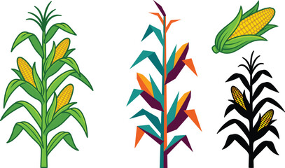 Corn Plant Vector Set Featuring Maize Stalk Realistic Abstract and Silhouette Styles with Cob Elements for Agriculture Farming Food and Organic Design Collection. © MstSuborna