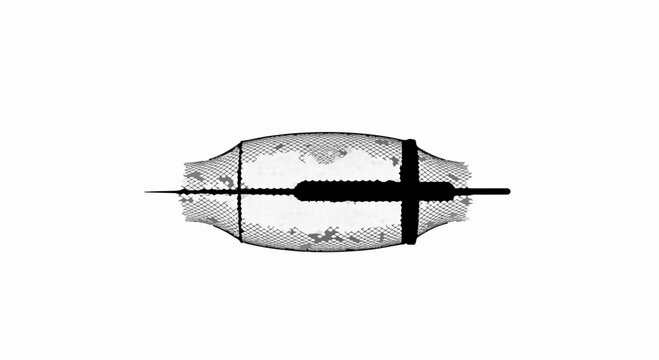 Abstract artistic representation of a futuristic capsule or pod with a central metallic element.