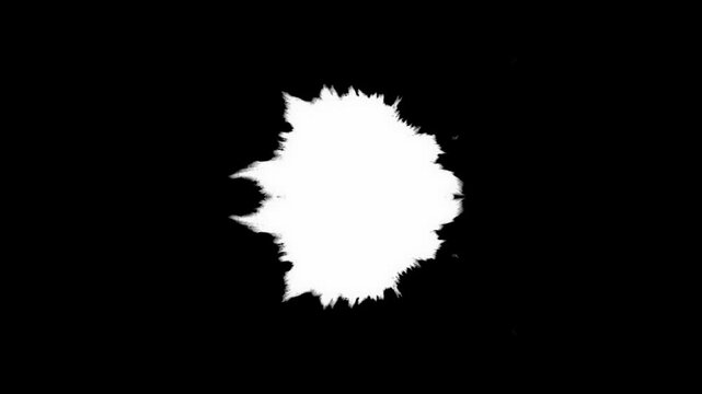 High contrast symmetrical ink expansion. Technical luma matte asset for organic video transitions and visual effects compositing.
