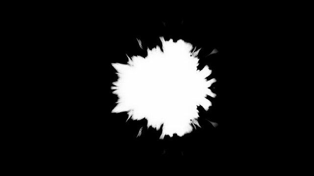 High contrast symmetrical ink expansion. Technical luma matte asset for organic video transitions and visual effects compositing.
