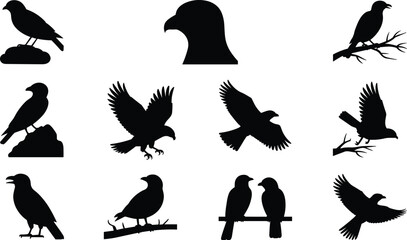 Obraz premium Crow bird silhouettes set, raven and crow flying perched collection, black bird vector icons isolated illustration pack