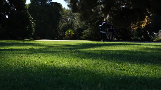 Well-kept parkland lawn with soft dappled sunlight and tree shadows creating calm, relaxing atmosphere. People walking in background add a subtle sense of leisure of public green space in Australia