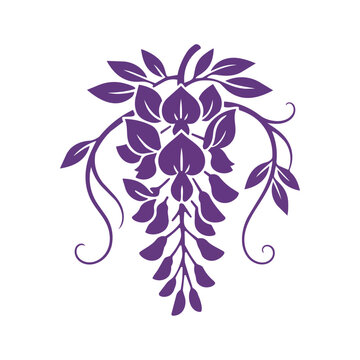 Japanese style wisteria flower vector illustration