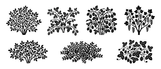 Berry Bush Silhouette Set, Fruit Plant Icons for Garden Design and Food Illustration, Collection of Black and White Graphic Shrubs Featuring Raspberries, Blueberries, Currants, and Strawberries Vector © Dinali