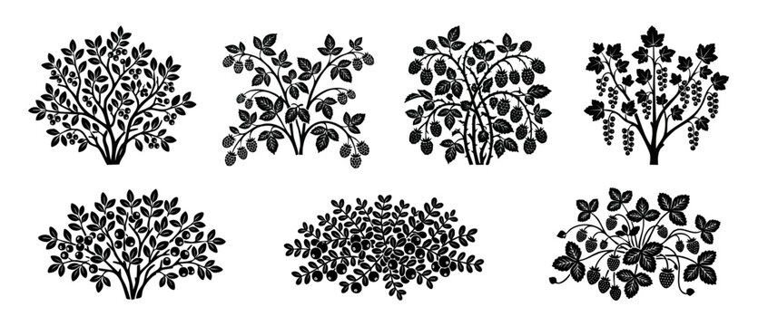 Berry Bush Silhouette Set, Fruit Plant Icons for Garden Design and Food Illustration, Collection of Black and White Graphic Shrubs Featuring Raspberries, Blueberries, Currants, and Strawberries Vector