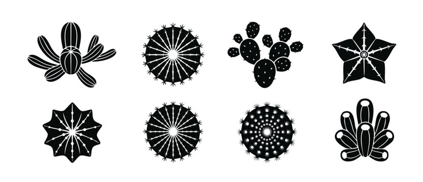 Cactus icon set black silhouettes, various succulent plant shapes for design elements, flat vector graphics collection of desert flora, botanical symbols for gardening, nature, and minimalist logo the