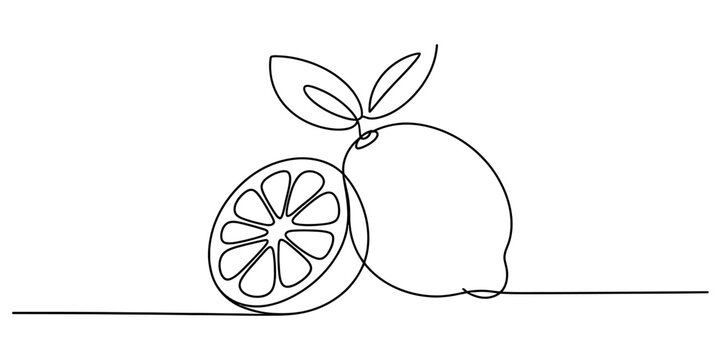Continuous single line drawing of a fresh lemon fruit and a sliced half with leaves Vector, illustration