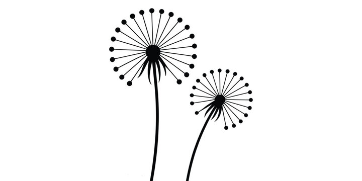 Black silhouette of two dandelion flowers on a stem