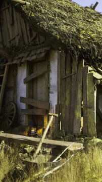 An enchanting cottage stands quietly in a lush green setting. Weathered wooden doors and an overgrown roof create a rustic haven, while a soft lantern light glimmers warmly at dusk.