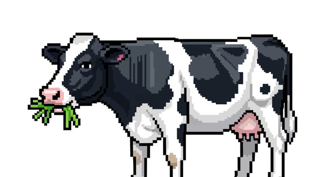 Pixel Art Holstein Friesian Cow Eating Grass.