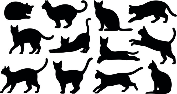 A comprehensive collection of black feline silhouettes featuring various dynamic poses for creative vector illustration and graphic design project assets.