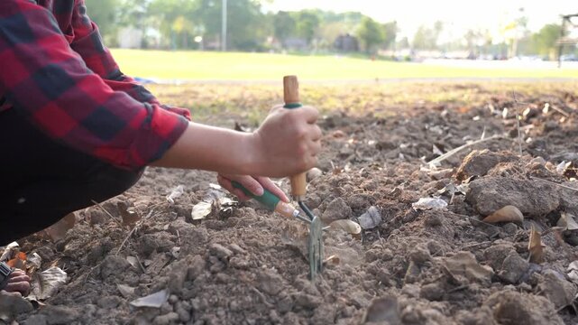 Preparing soil for agriculture: Soil testing.