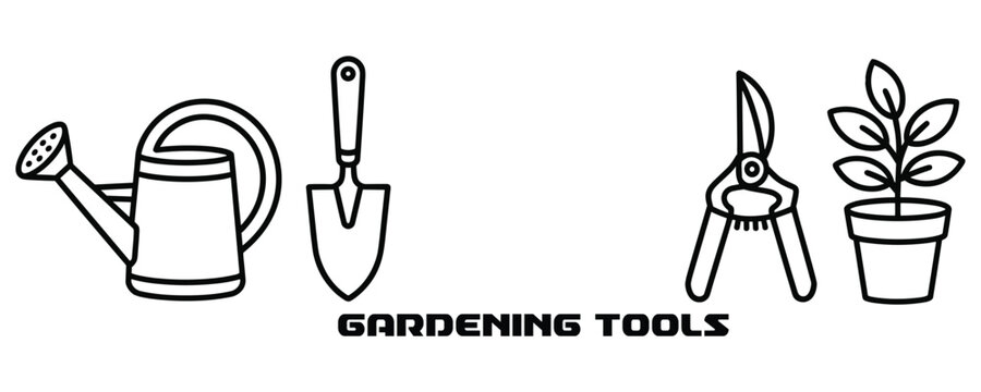 Collection of essential garden tools and plant for cultivation.
