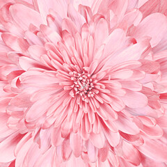 beautiful pink flower center background © Vidal
