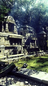Green algae floats on the calm surface of an ancient water body surrounded by weathered stone structures. Sunlight filters through the dense foliage, creating a serene, mystical atmosphere.