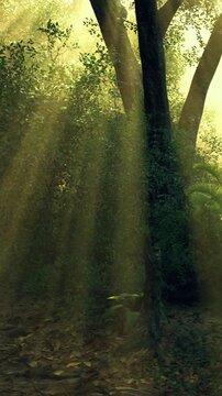 Rays of sunlight filter through the dense canopy, illuminating the tranquil forest. Nature comes alive as shadows play among the trees in this peaceful morning scene.