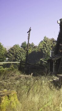 A forgotten homestead stands weathered among towering trees as the sun sets, casting golden hues on the overgrown grass and broken fence. Nature reclaims this quiet piece of history.