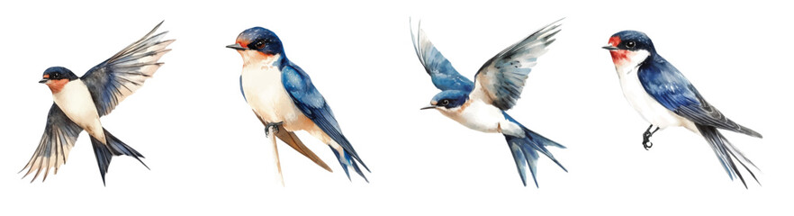 Bird set, Collection of swallow bird paintings, Minimal yet artistic elements for creative designs. hand-drawn paint, Simple Illustration, A beautiful painting isolated on a white background © sabart