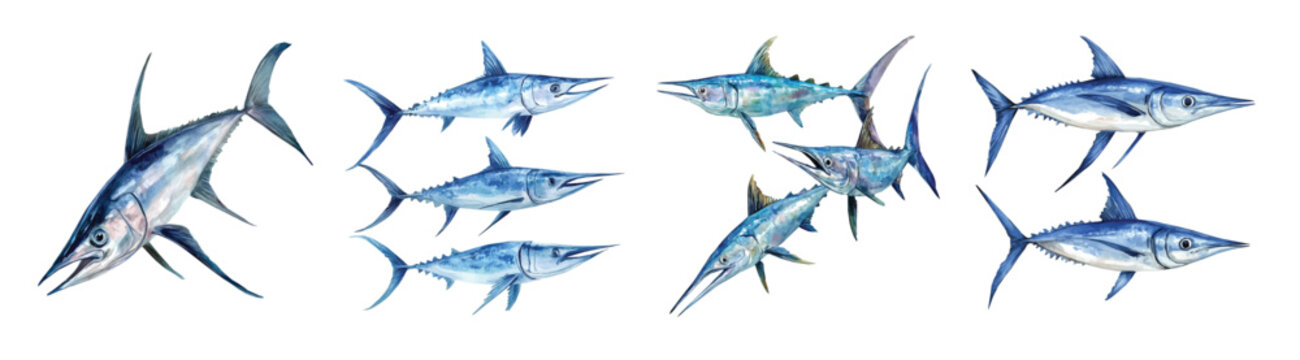 Collection of swordfish paintings, Minimal yet artistic elements for creative designs. hand-drawn paint, Simple Illustration, A beautiful painting isolated on a white background, Sea animal set