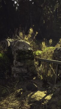 Nature gently reclaims old stone remnants, partially hidden by lush green foliage. Sunlight filters through tall trees, illuminating the tranquil forest, creating a serene atmosphere.