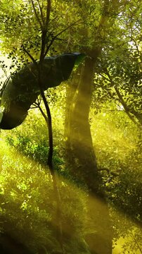 Green leaves soak up golden sunlight while soft shadows play on the forest floor. Serene nature invites exploration in a peaceful escape from everyday life.