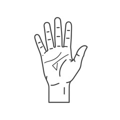 Fototapeta premium Detailed illustration of a human hand with lines and markings, palm facing up.
