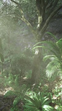 Sunlight filters through dense foliage in a serene tropical forest. Vibrant plants and majestic trees create a peaceful atmosphere, inviting exploration and wonder in natures beauty.