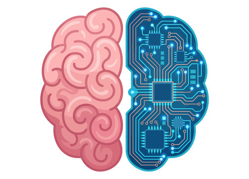 Brain halves merge with circuit board and organic tissue