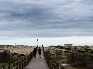 Fototapeta premium Sturdy wooden stairs rise from the sandy beach, surrounded by tall grasses, leading to the top of the dune under a cloudy afternoon sky. The scene is calm and inviting.