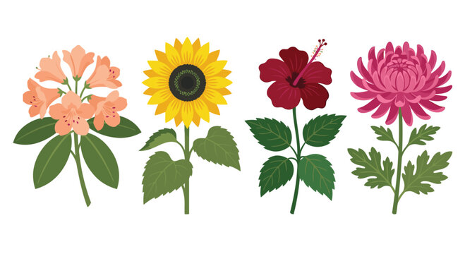 Four Tropical Botanical Bundle Edition: Azalea, Sunflowers, Hisbiscus, Chrysanthemum. Design Element. Clip art. Suitable for artwork design. Editable for any design.