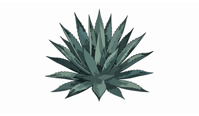 Fototapeta premium Hand-Drawn Agave Plant Illustration in Black and White for Botanical, Nature, and Eco-Friendly Designs