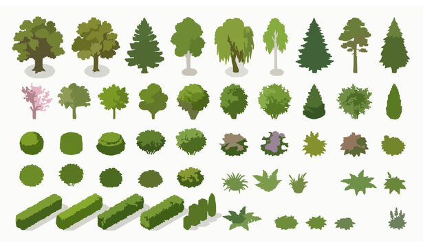 Stylized vector illustration of diverse trees, shrubs, and bushes arranged in rows for garden and landscape design