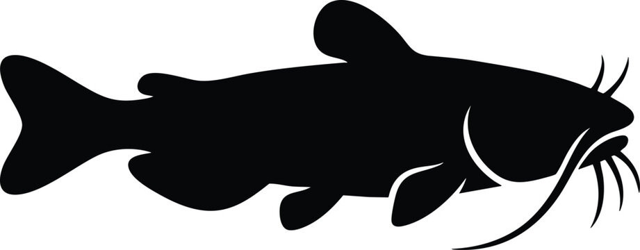 Catfish silhouette illustration, black vector icon of a channel catfish 