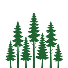 Obraz premium Green pine trees silhouette on transparent background, minimalist vector illustration for nature and forest themes, simple evergreen forest landscape.